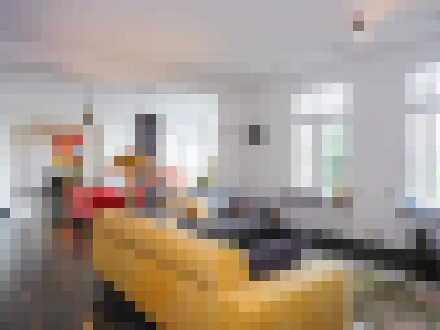 Binnenweg 4 Aardenburg thumbnail 8