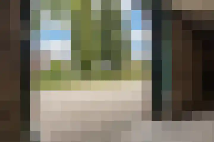 Binnenweg 4 Elspeet thumbnail 28
