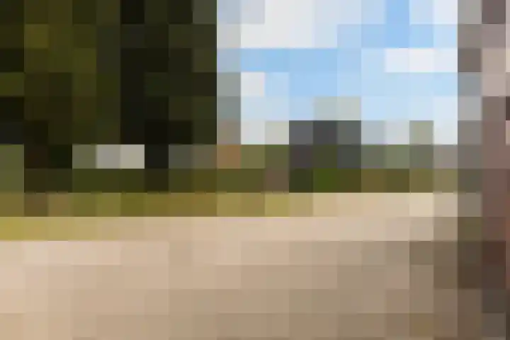 Binnenweg 4 Elspeet thumbnail 29