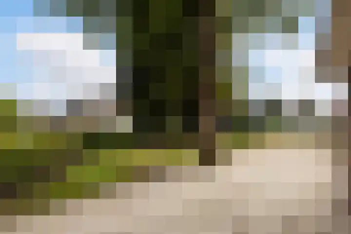 Binnenweg 4 Elspeet thumbnail 30