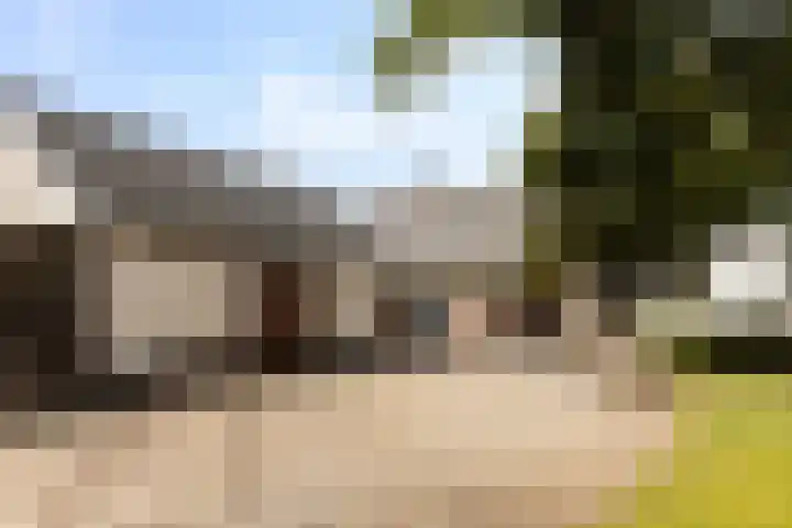 Binnenweg 4 Elspeet thumbnail 32