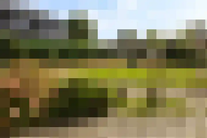 Binnenweg 4 Elspeet thumbnail 33