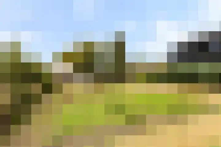 Binnenweg 4 Elspeet thumbnail 34