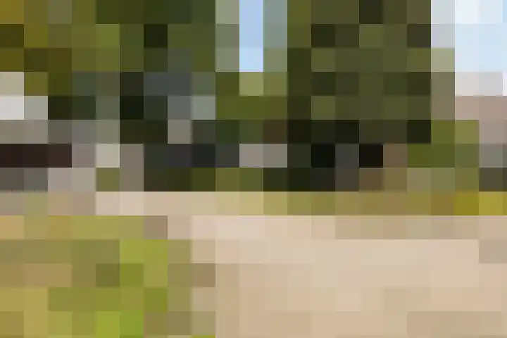 Binnenweg 4 Elspeet thumbnail 35