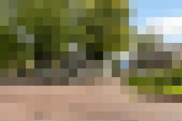 Binnenweg 4 Elspeet thumbnail 37