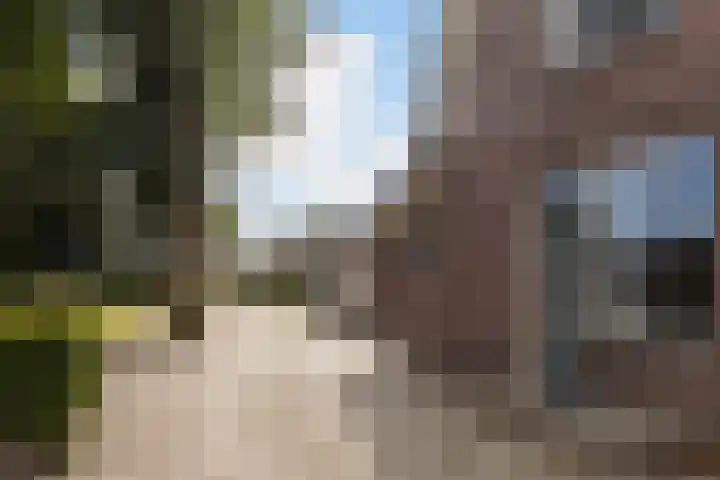 Binnenweg 4 Elspeet thumbnail 4