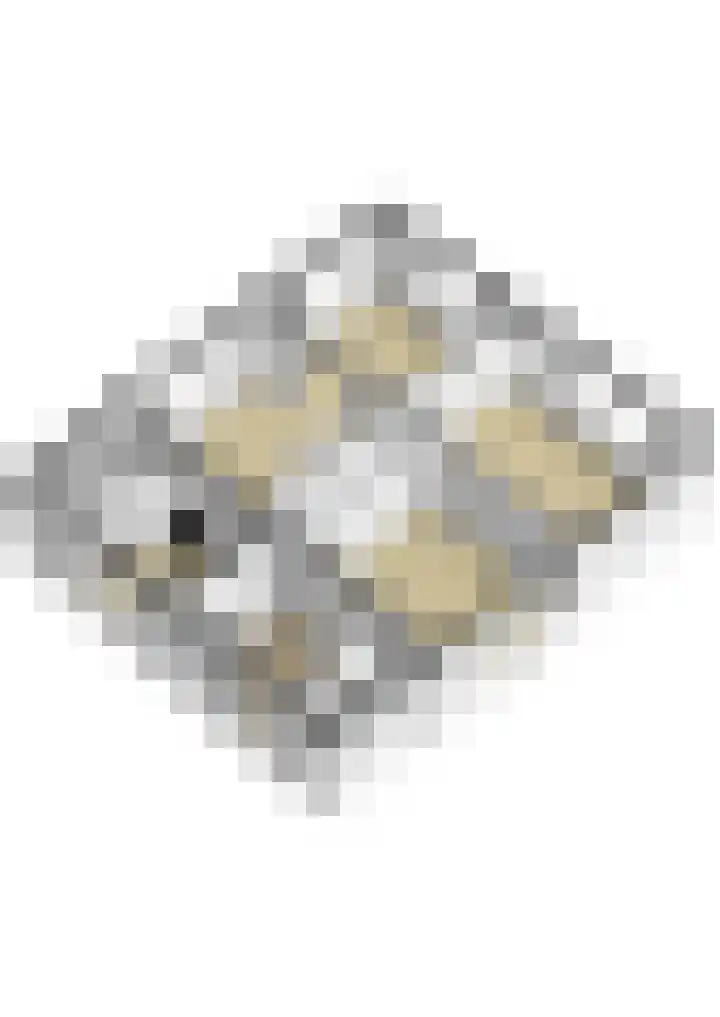 Binnenweg 4 Elspeet thumbnail 41