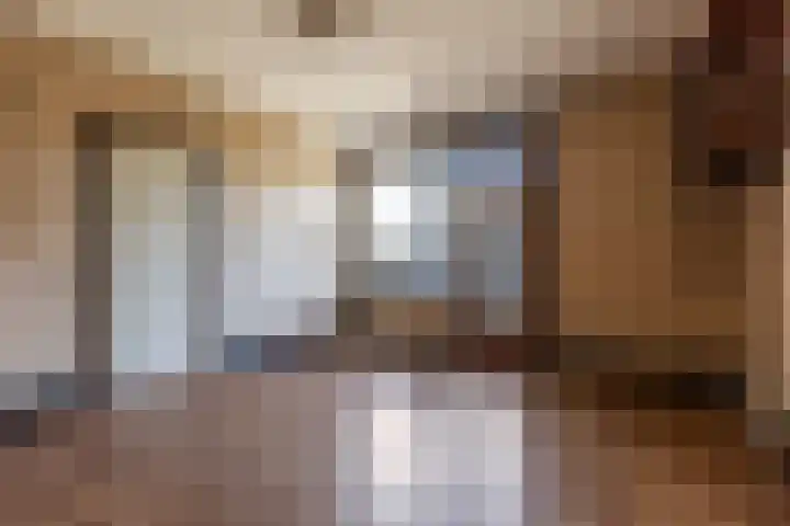 Binnenweg 4 Elspeet thumbnail 5