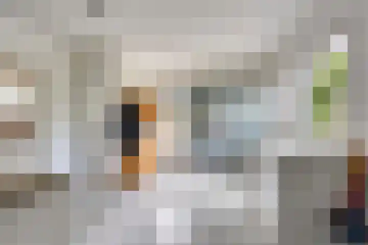 Binnenweg 4 Heerenveen thumbnail 15