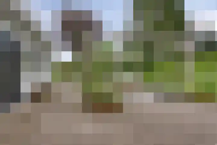 Binnenweg 4 Heerenveen thumbnail 25