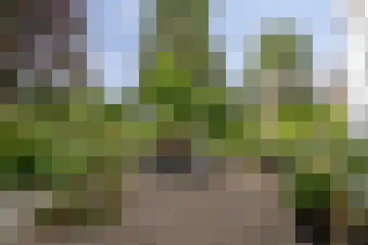 Binnenweg 4 Heerenveen thumbnail 27