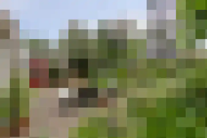 Binnenweg 4 Heerenveen thumbnail 29