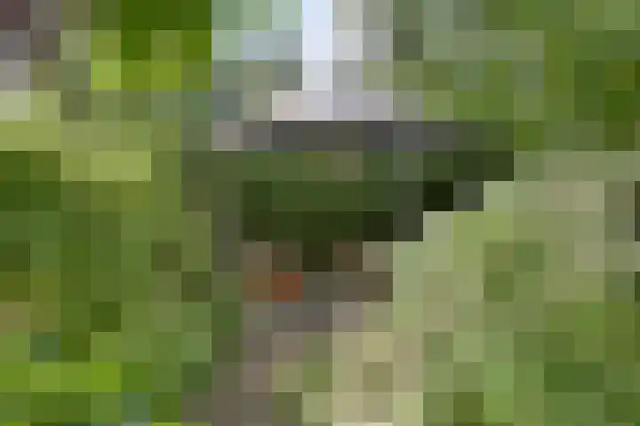 Binnenweg 4 Heerenveen thumbnail 30