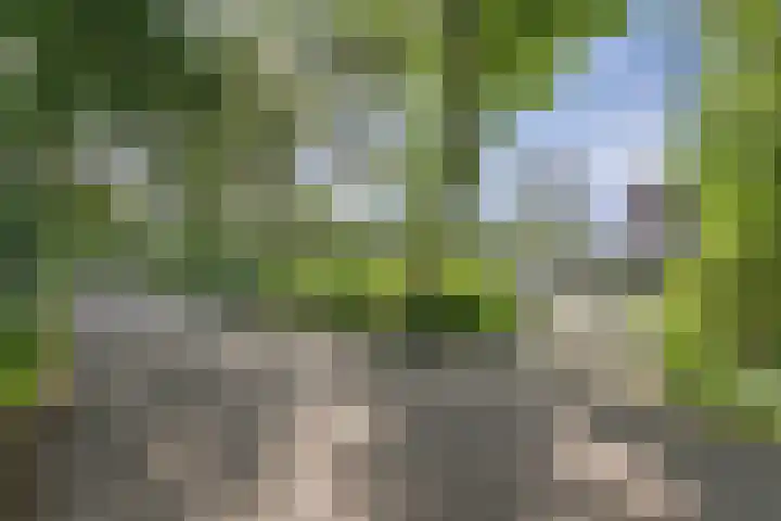 Binnenweg 4 Heerenveen thumbnail 4