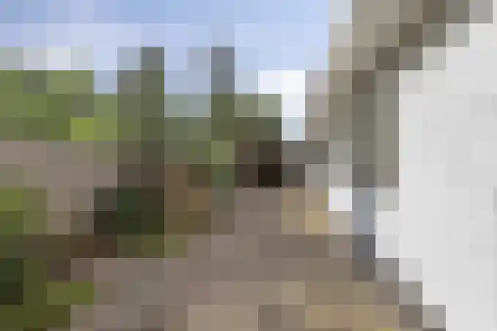Binnenweg 4 Heerenveen thumbnail 5