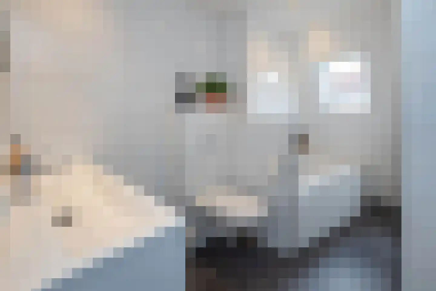 Binnenweg 4 Hengelo thumbnail 20