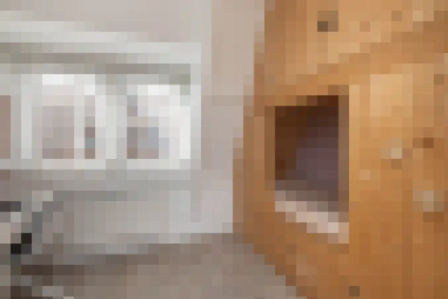 Binnenweg 4 Hengelo thumbnail 25