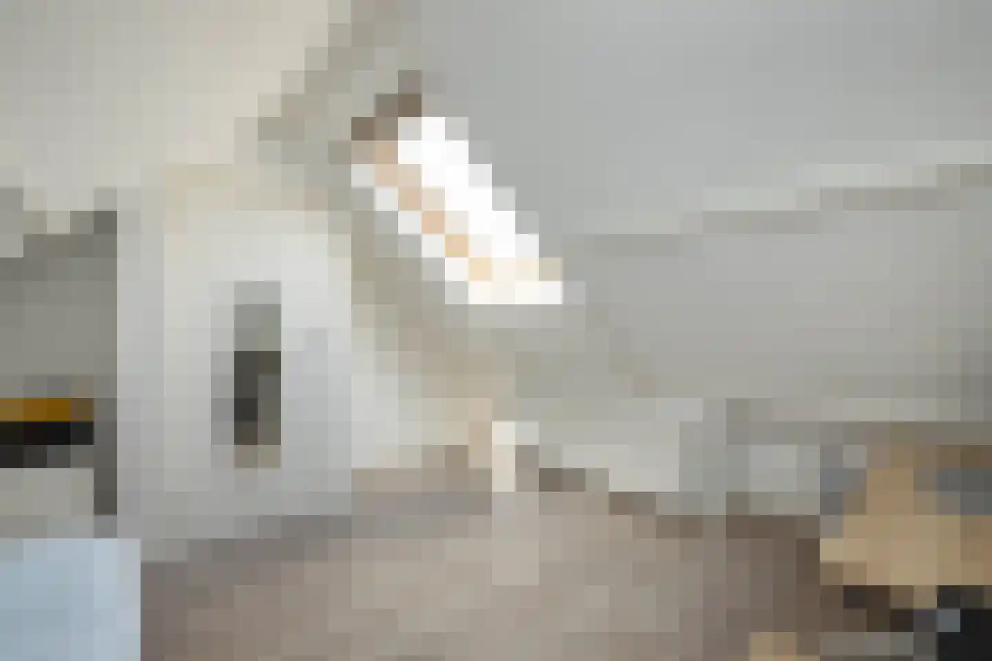 Binnenweg 4 Hengelo thumbnail 27