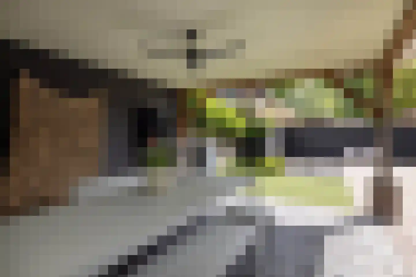 Binnenweg 4 Hengelo thumbnail 33