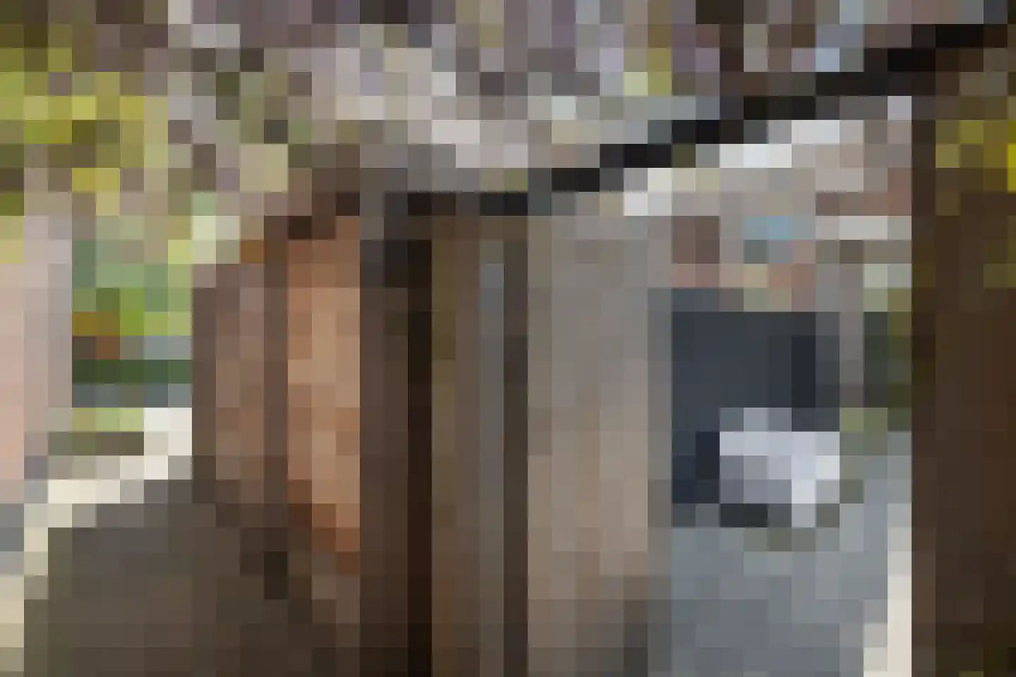 Binnenweg 4 Hengelo thumbnail 37