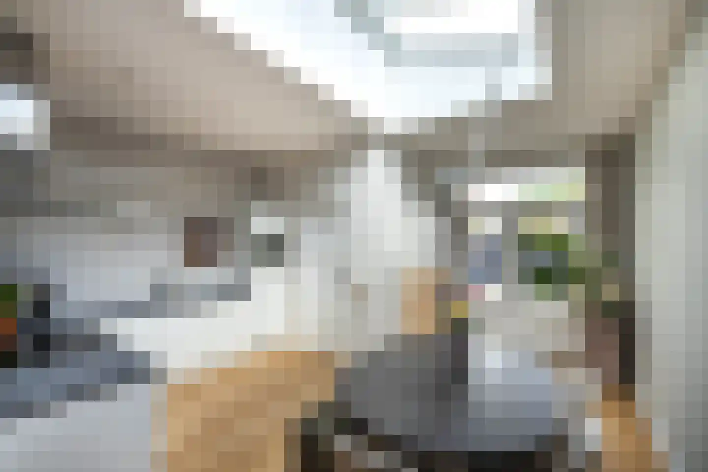 Binnenweg 4 Hengelo thumbnail 9
