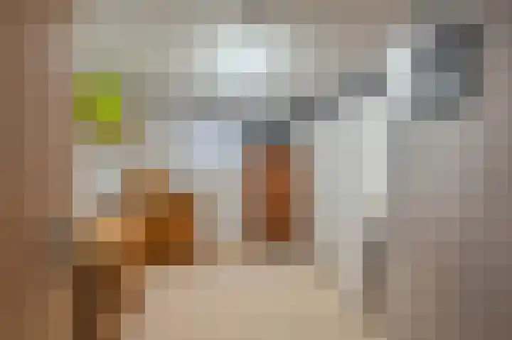 Binnenweg 4 Oostwold thumbnail 23