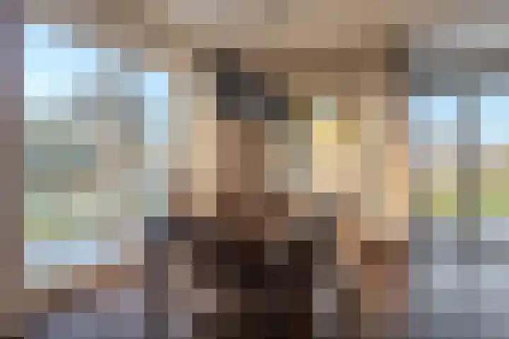 Binnenweg 4 Oostwold thumbnail 37