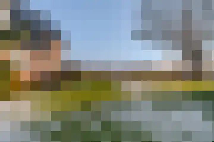 Binnenweg 4 Oostwold thumbnail 5