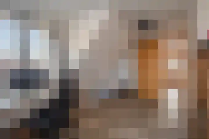 Binnenweg 4 Oostwold thumbnail 51