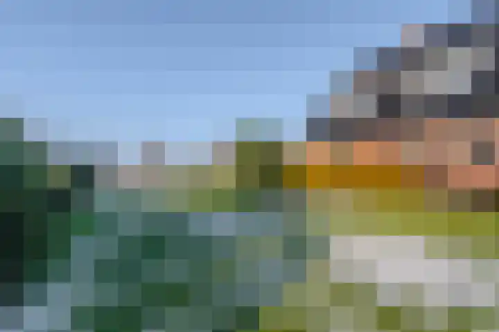 Binnenweg 4 Oostwold thumbnail 6