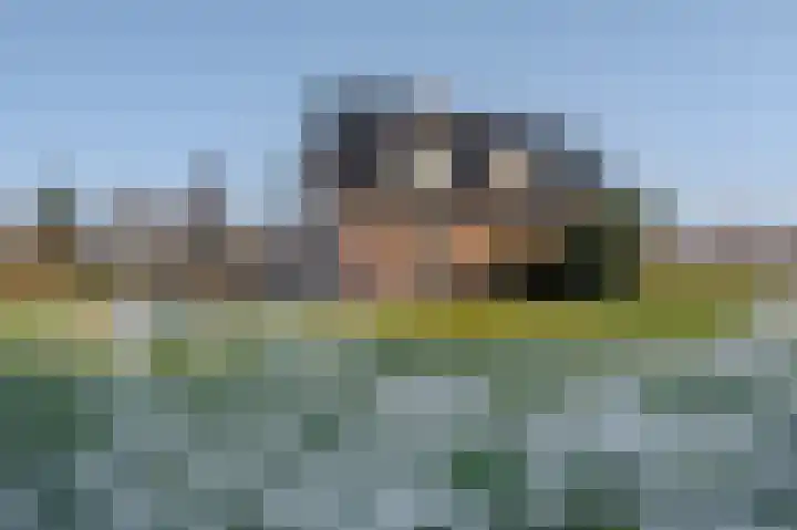 Binnenweg 4 Oostwold thumbnail 62
