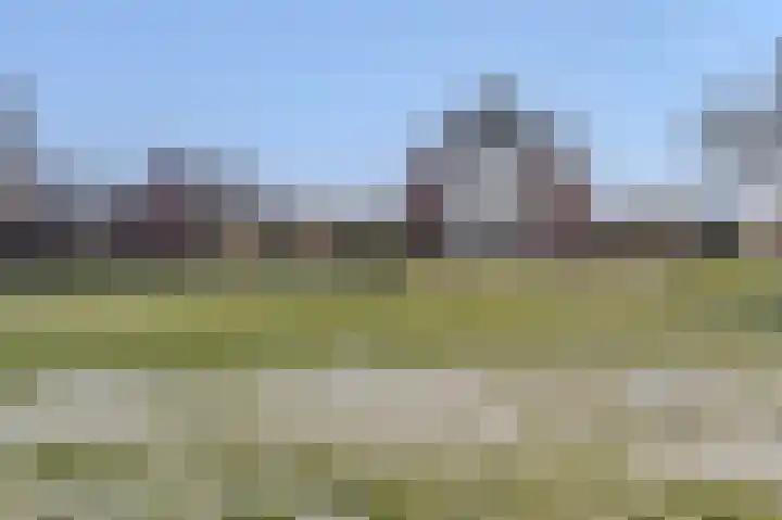 Binnenweg 4 Oostwold thumbnail 64