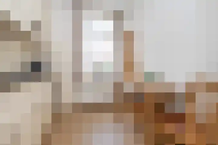 Binnenweg 41 Melissant thumbnail 13