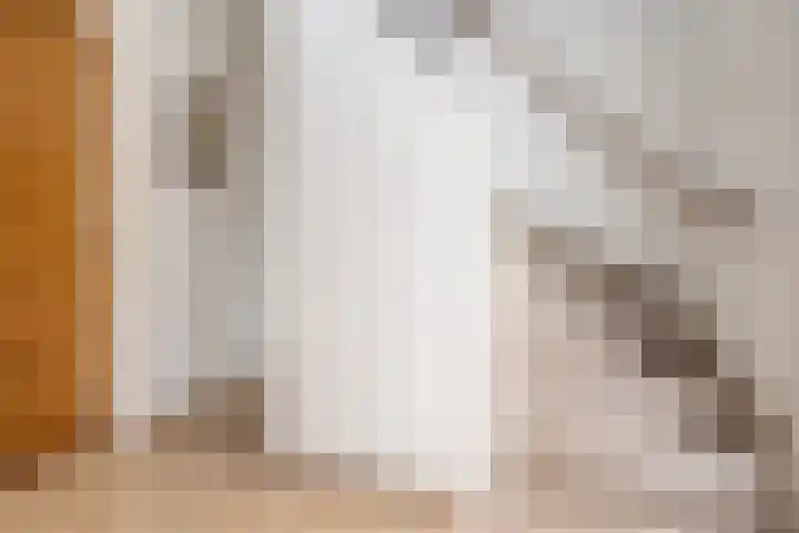 Binnenweg 41 Melissant thumbnail 18