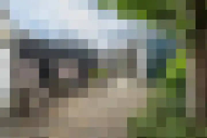 Binnenweg 41 Melissant thumbnail 26