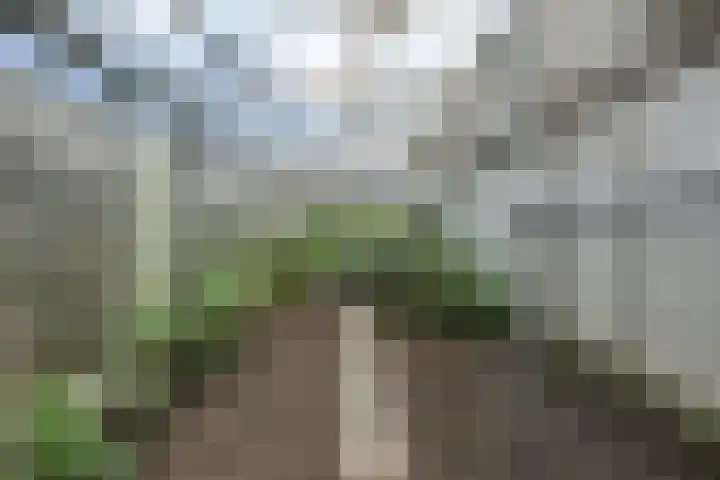 Binnenweg 41 Melissant thumbnail 29