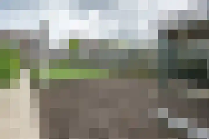 Binnenweg 41 Melissant thumbnail 30