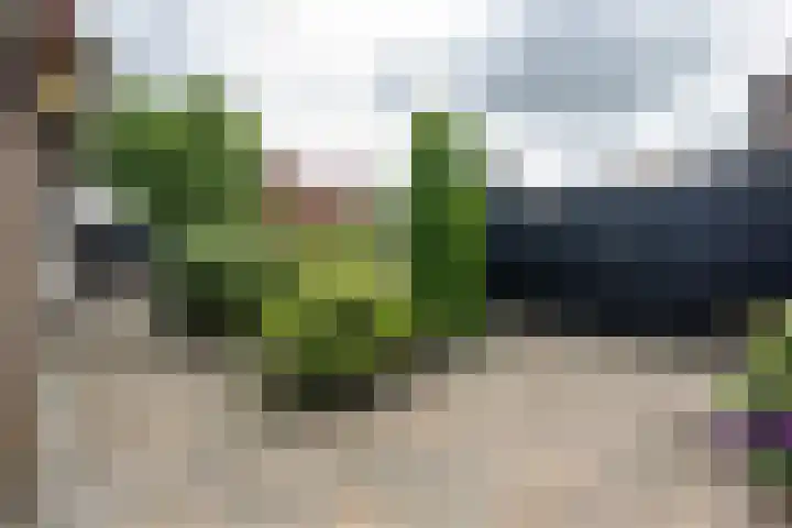 Binnenweg 41 Melissant thumbnail 31