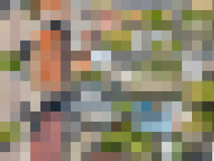 Binnenweg 41 Melissant thumbnail 32