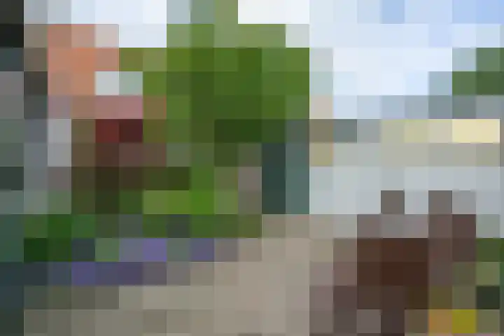 Binnenweg 41 Melissant thumbnail 4