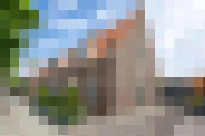 Binnenweg 41 Melissant thumbnail 6