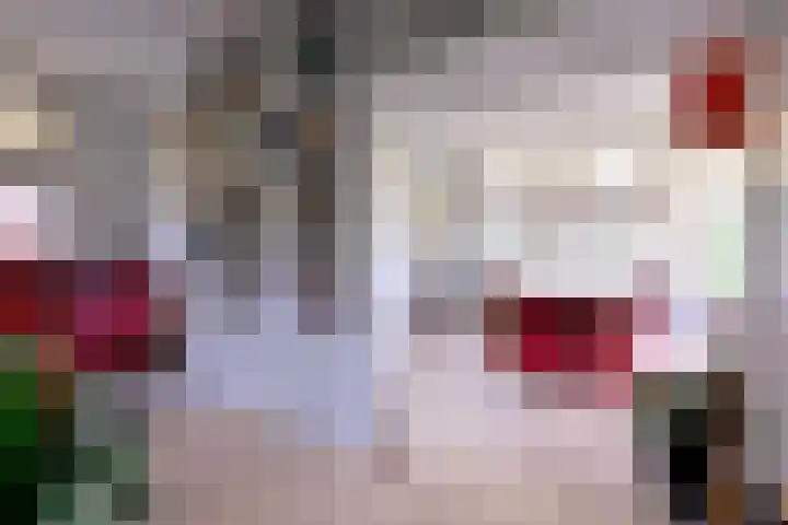 Binnenweg 43 Voorst thumbnail 18