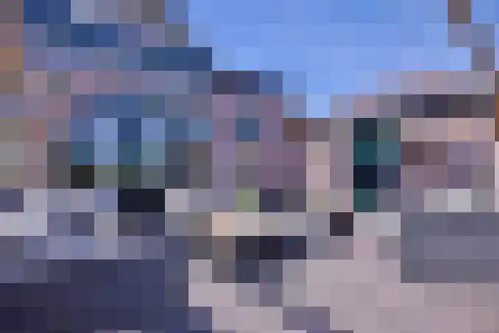 Binnenweg 43 Voorst thumbnail 31