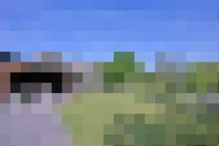 Binnenweg 43 Voorst thumbnail 33