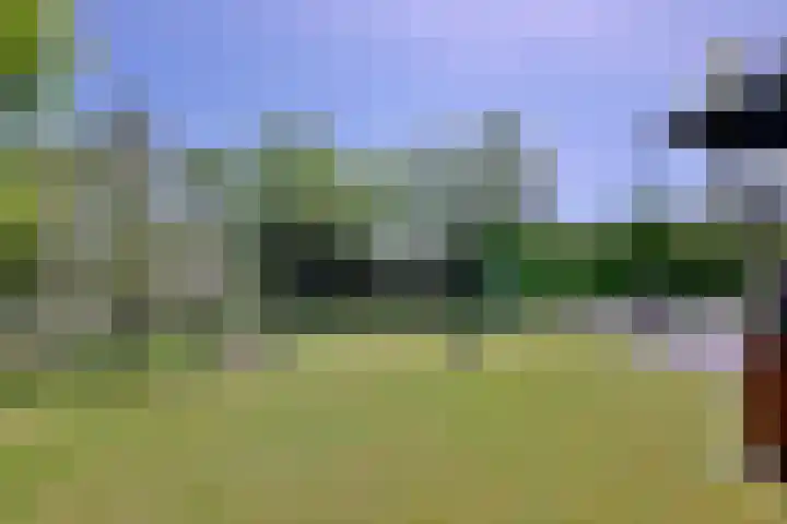 Binnenweg 43 Voorst thumbnail 35
