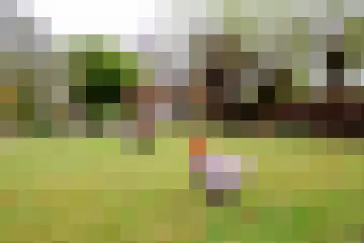 Binnenweg 43 Voorst thumbnail 36