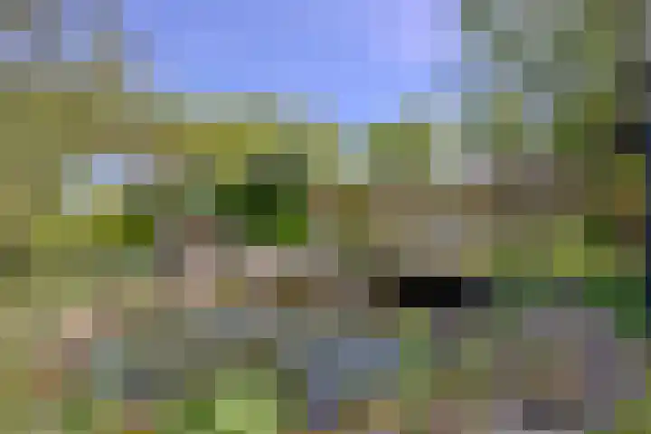Binnenweg 43 Voorst thumbnail 37
