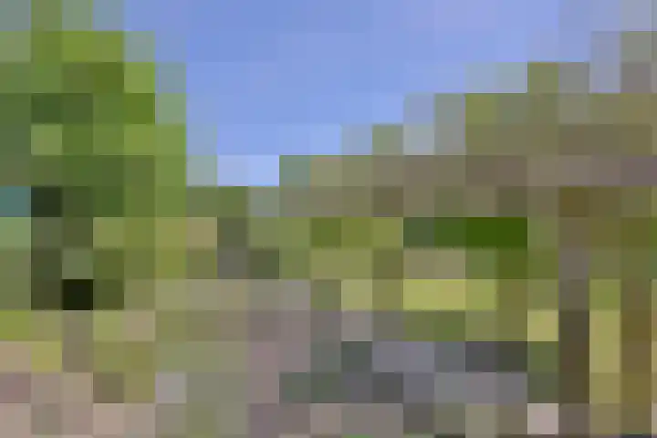 Binnenweg 43 Voorst thumbnail 38