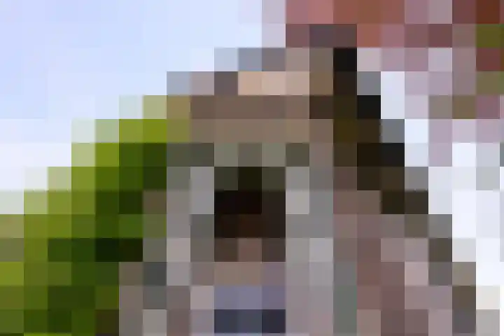 Binnenweg 43 Voorst thumbnail 41