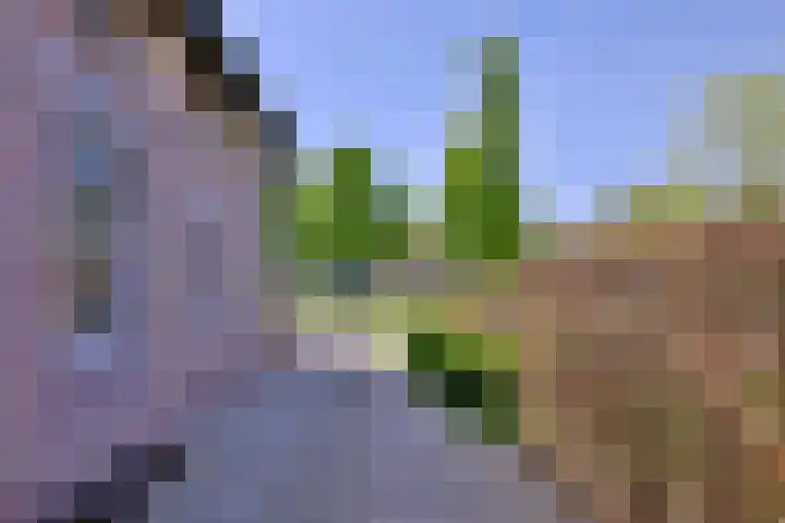 Binnenweg 43 Voorst thumbnail 43
